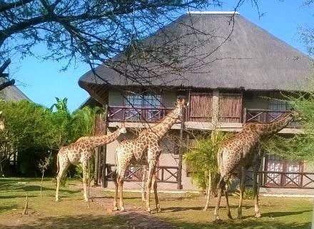 Rhulani Kruger Villa 玛洛斯帕克 外观 照片